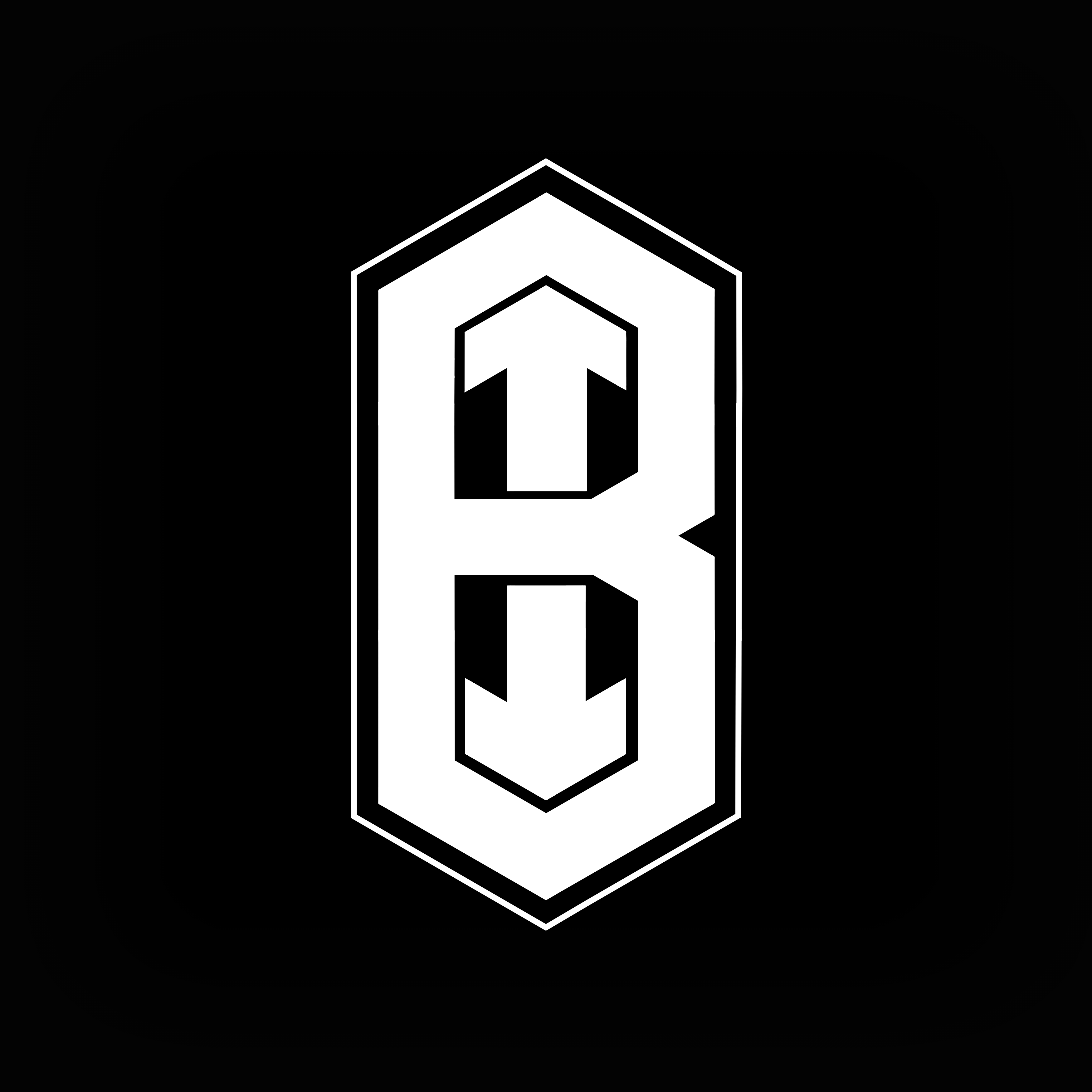 Logotipo de Banda Impresentable